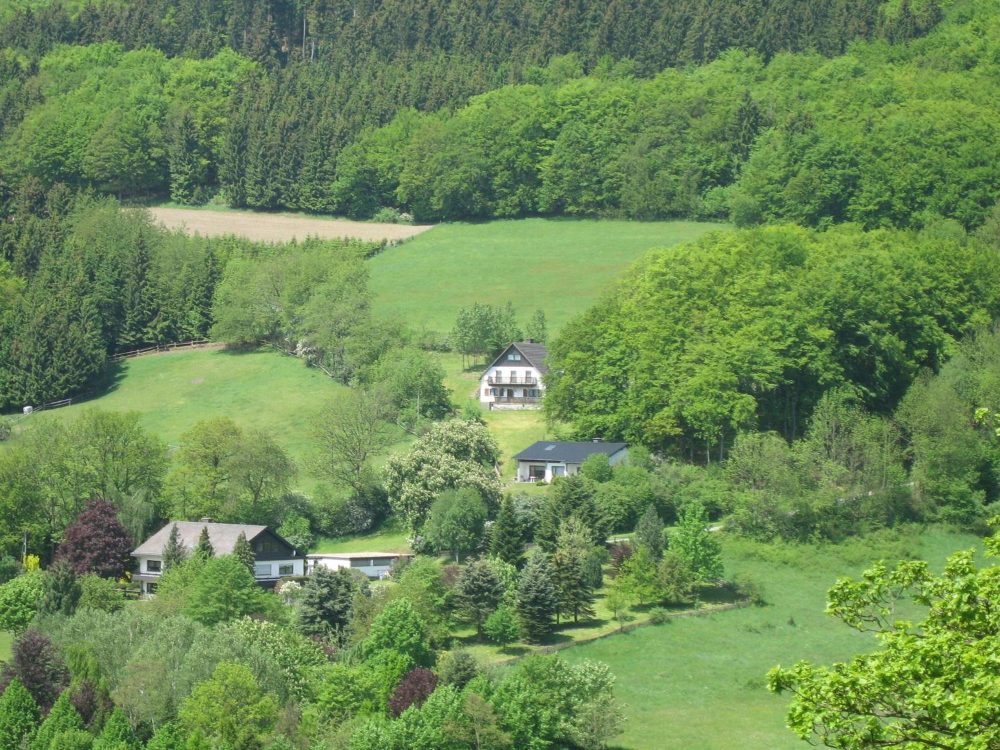 Nice Holiday Home Near Ski Area Medebach Buitenkant foto